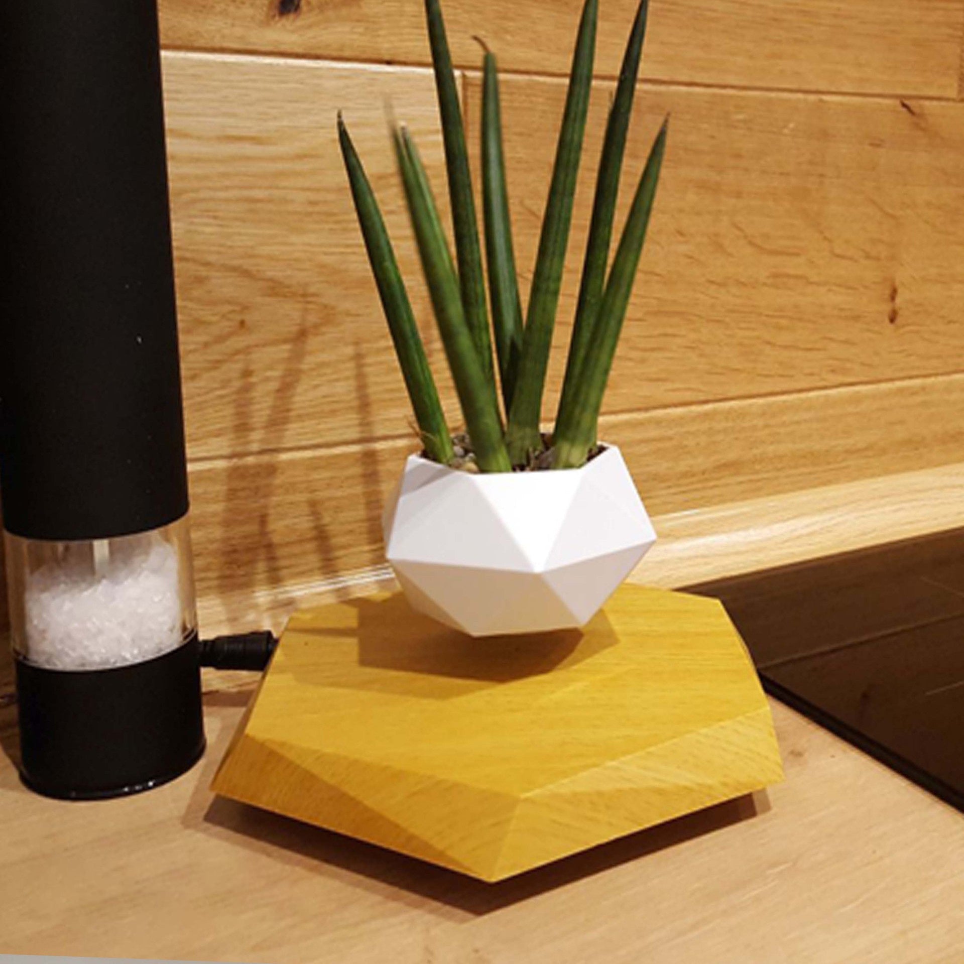 Floating Magnetic Levitating Flower Pot Bonsai Air Plant Pot Planter Potted For Home Office Desk Decor Creative Gift - Caseify