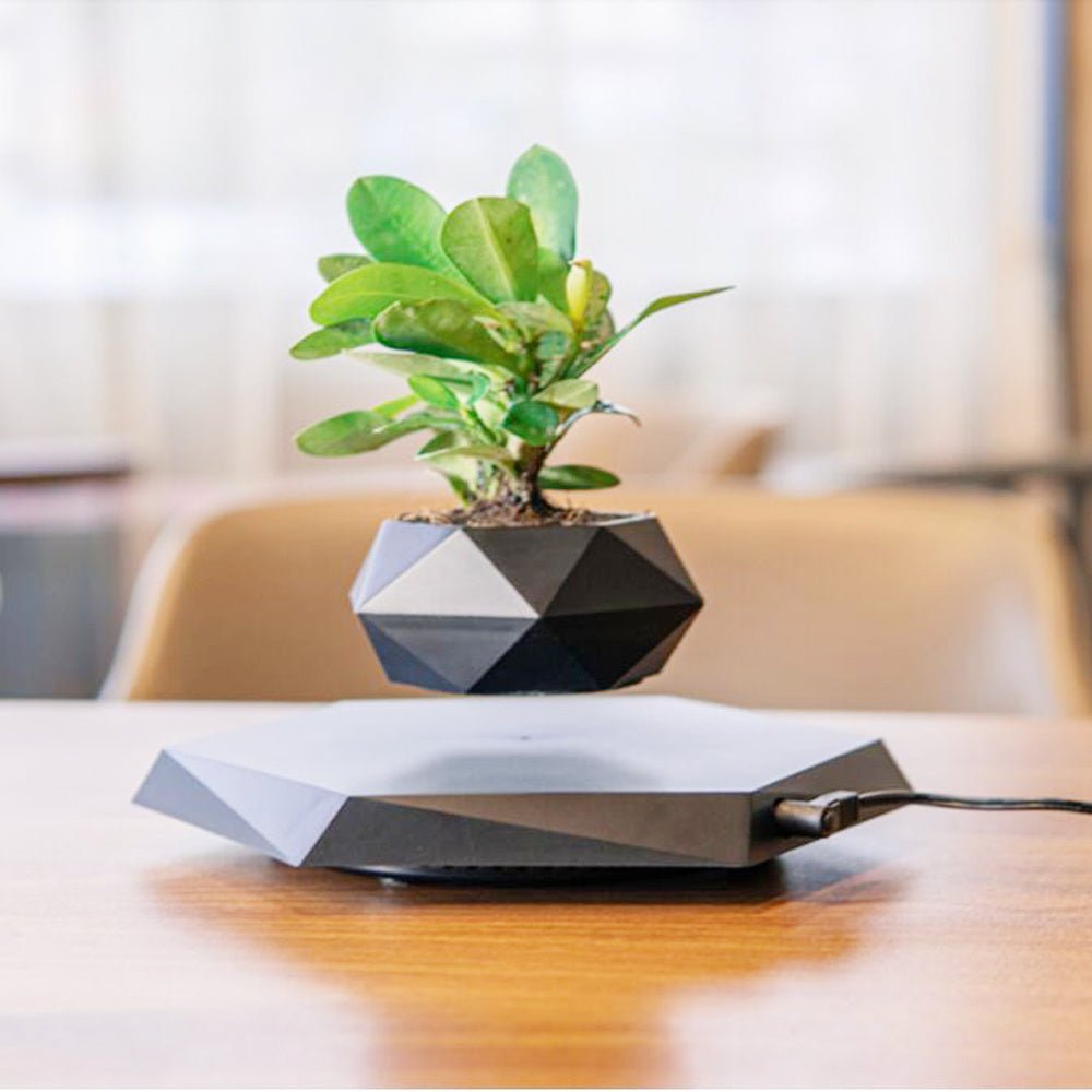 Floating Magnetic Levitating Flower Pot Bonsai Air Plant Pot Planter Potted For Home Office Desk Decor Creative Gift - Caseify