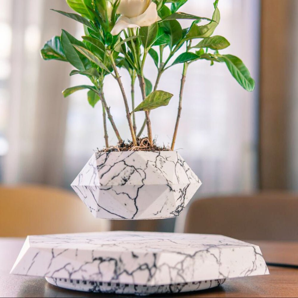 Floating Magnetic Levitating Flower Pot Bonsai Air Plant Pot Planter Potted For Home Office Desk Decor Creative Gift - Caseify
