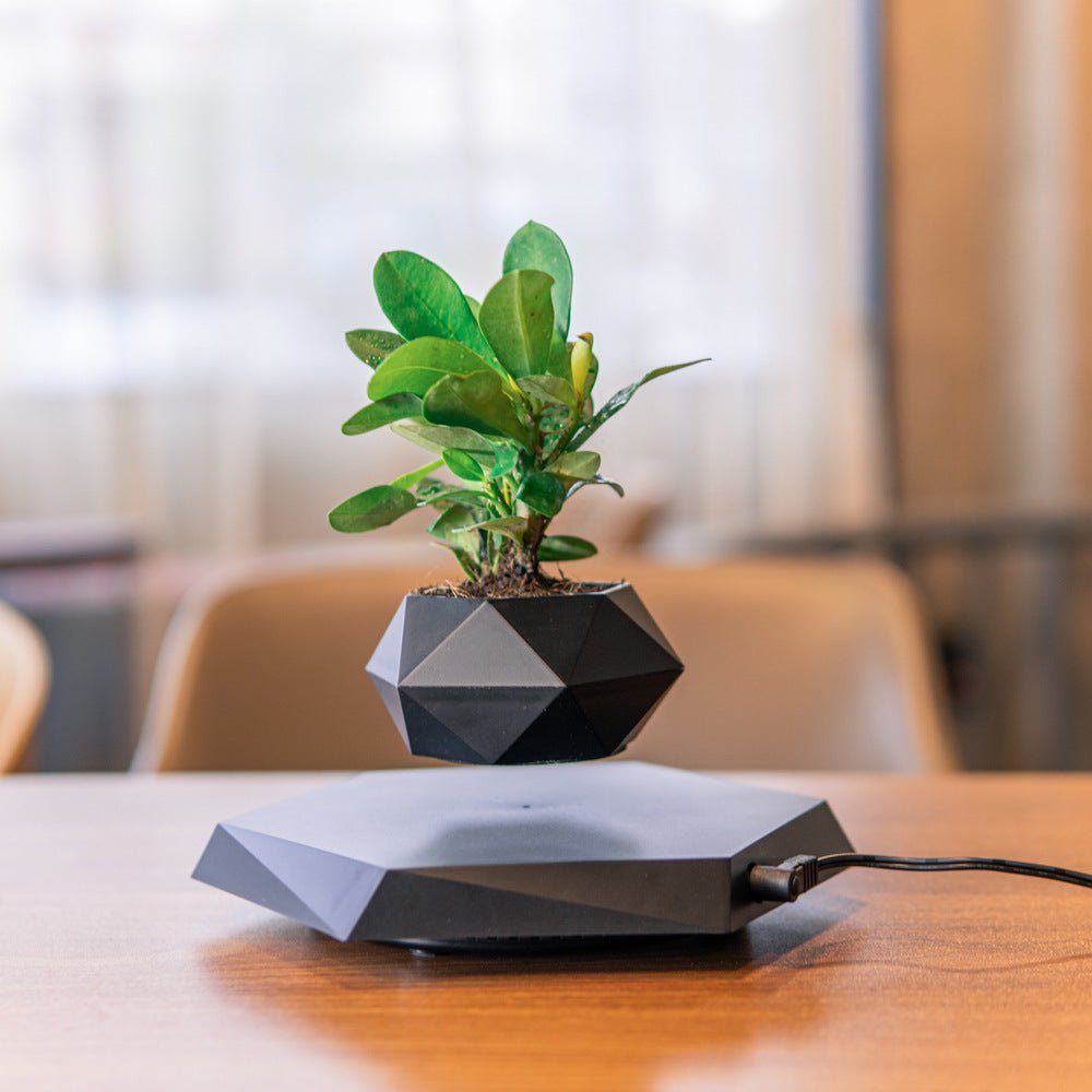 Floating Magnetic Levitating Flower Pot Bonsai Air Plant Pot Planter Potted For Home Office Desk Decor Creative Gift - Caseify